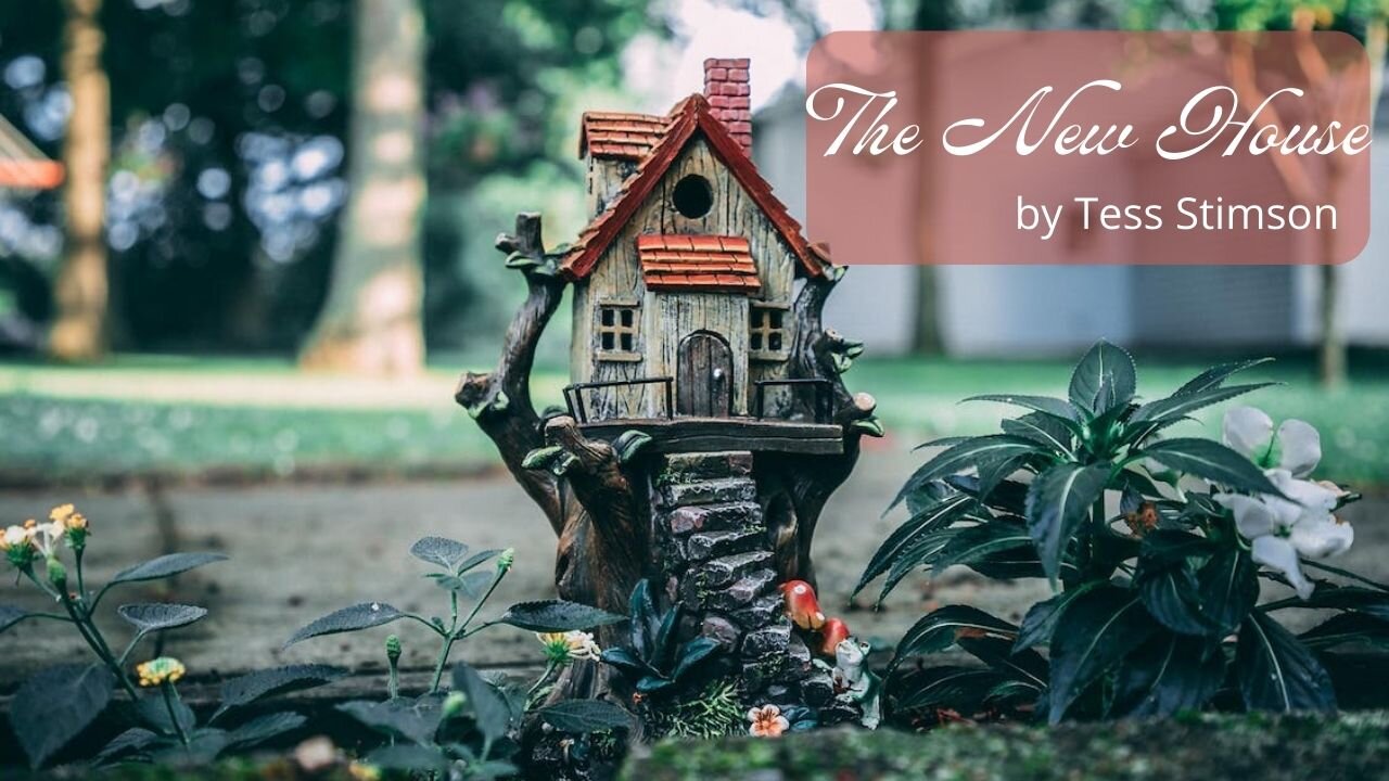 THE NEW HOUSE by Tess Stimson
