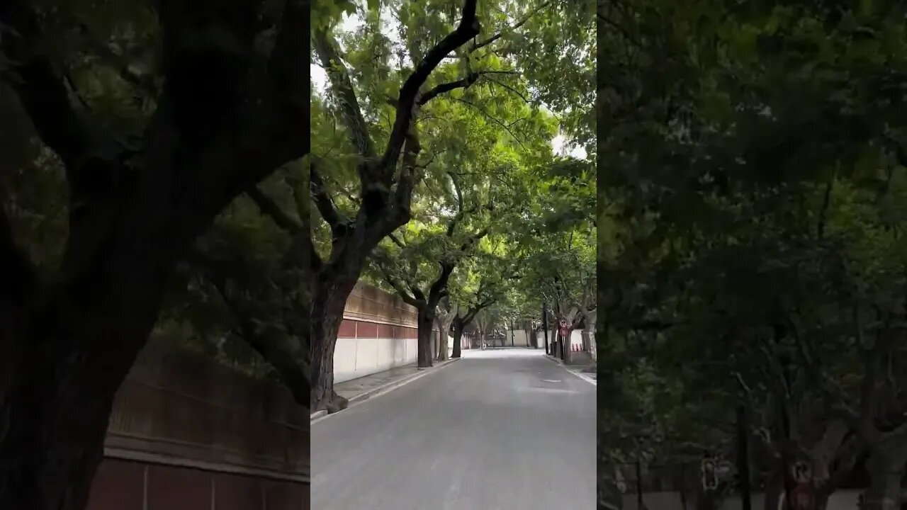 秋夭到了 有种莫名奇怪的孤独感!
