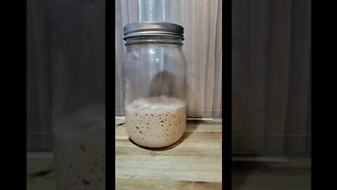 How To Feed Fresh Milled Flour Sourdough Starter