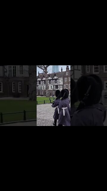 Make way for the Tower of the London guard #toweroflondon