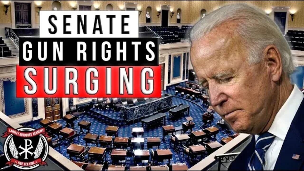 Gun Controller NIGHTMARE unfolding... Gun Rights Senate Candidates are SURGING towards midterms...