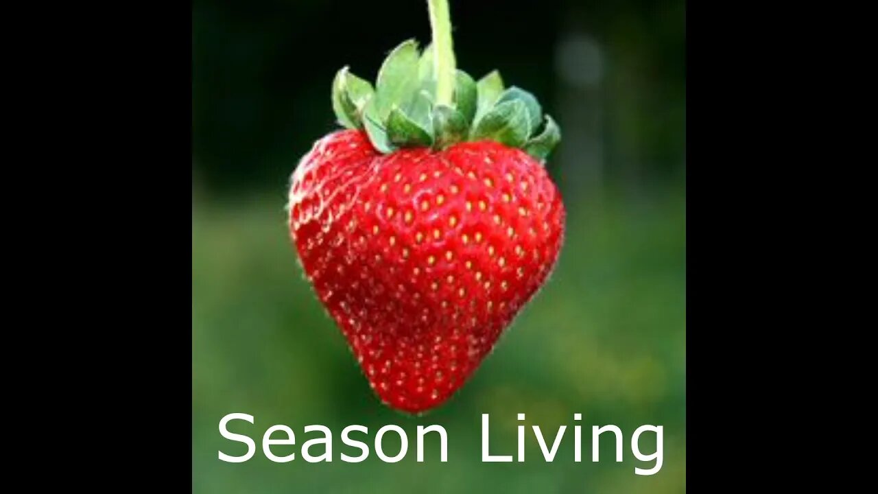 Easy Planting Of Bare Root strawberry's Planting A Strawberry Bag Gardening On The Deck