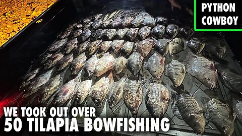 Bowfishing At Night For Giant Tilapia on Lake Okeechobee