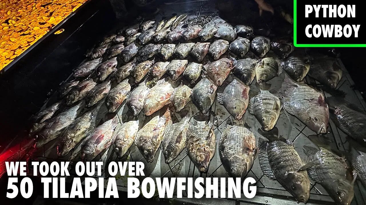 Bowfishing At Night For Giant Tilapia on Lake Okeechobee