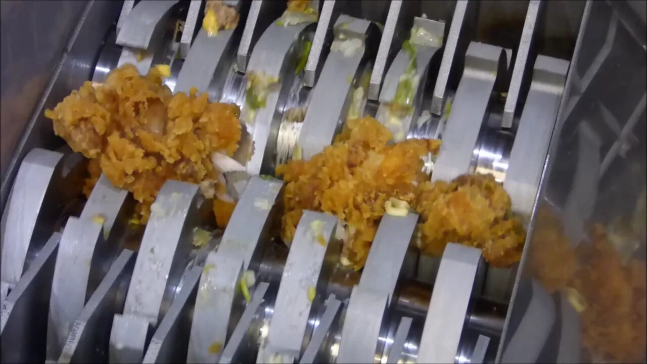 shredding junk food : McDonald's Big Mac and KFC Hot Wings