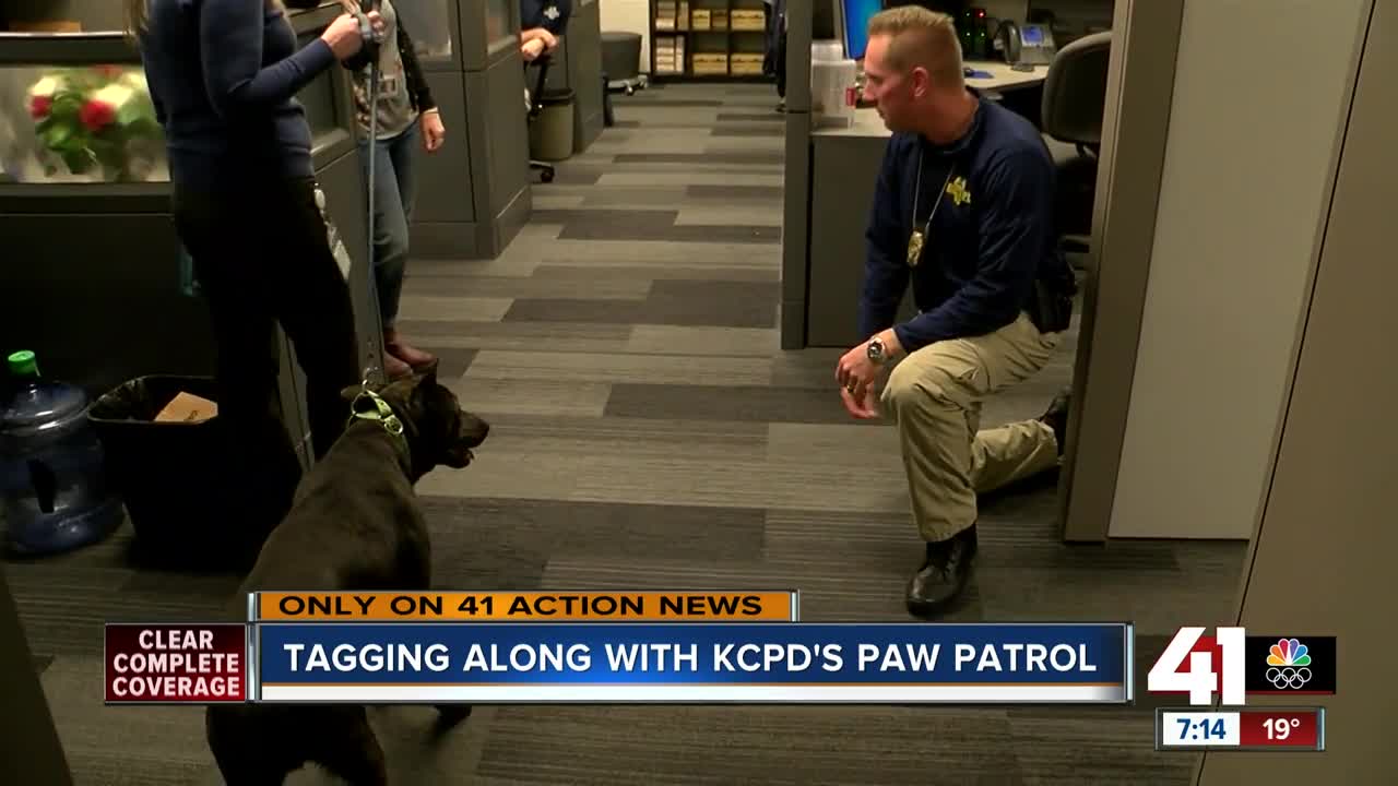 Tagging along with KCPD's Paw Patrol