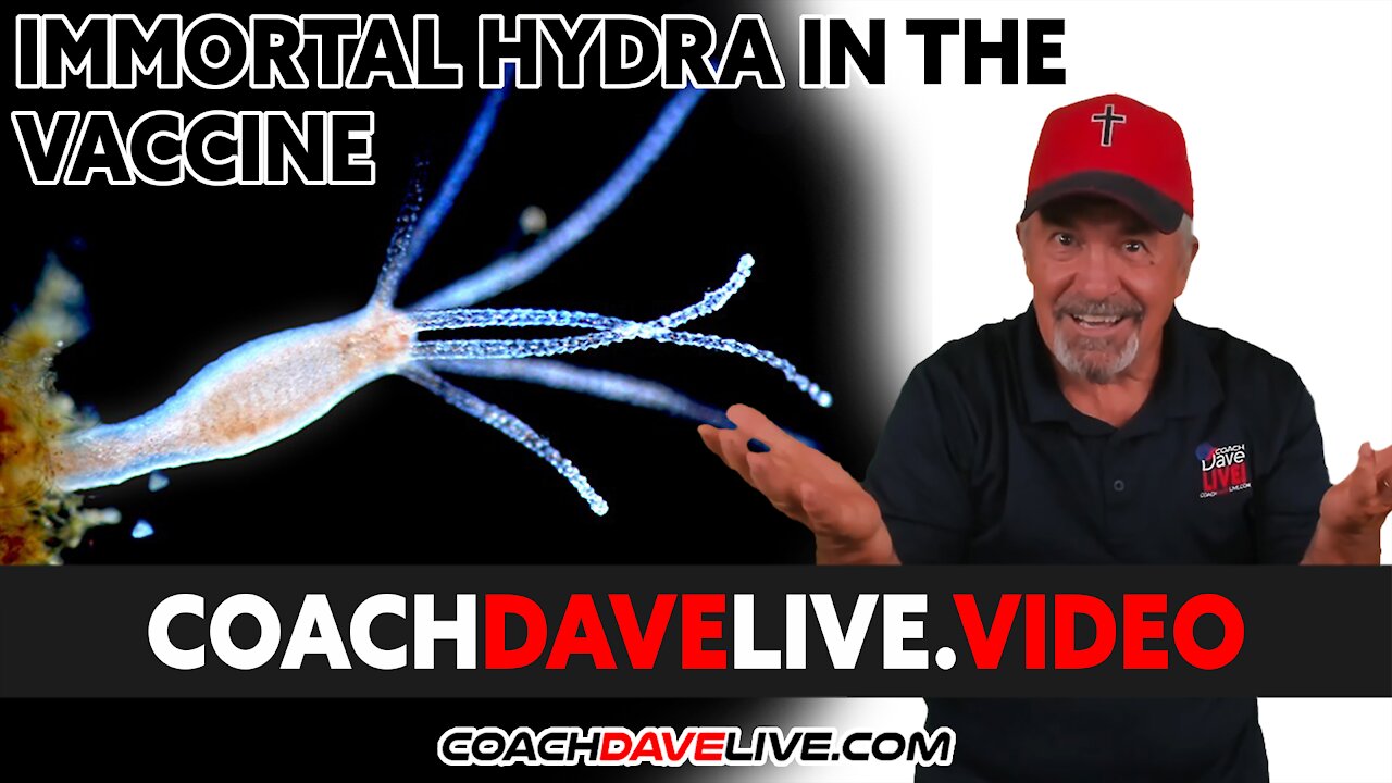 Coach Dave LIVE | 10-13-2021