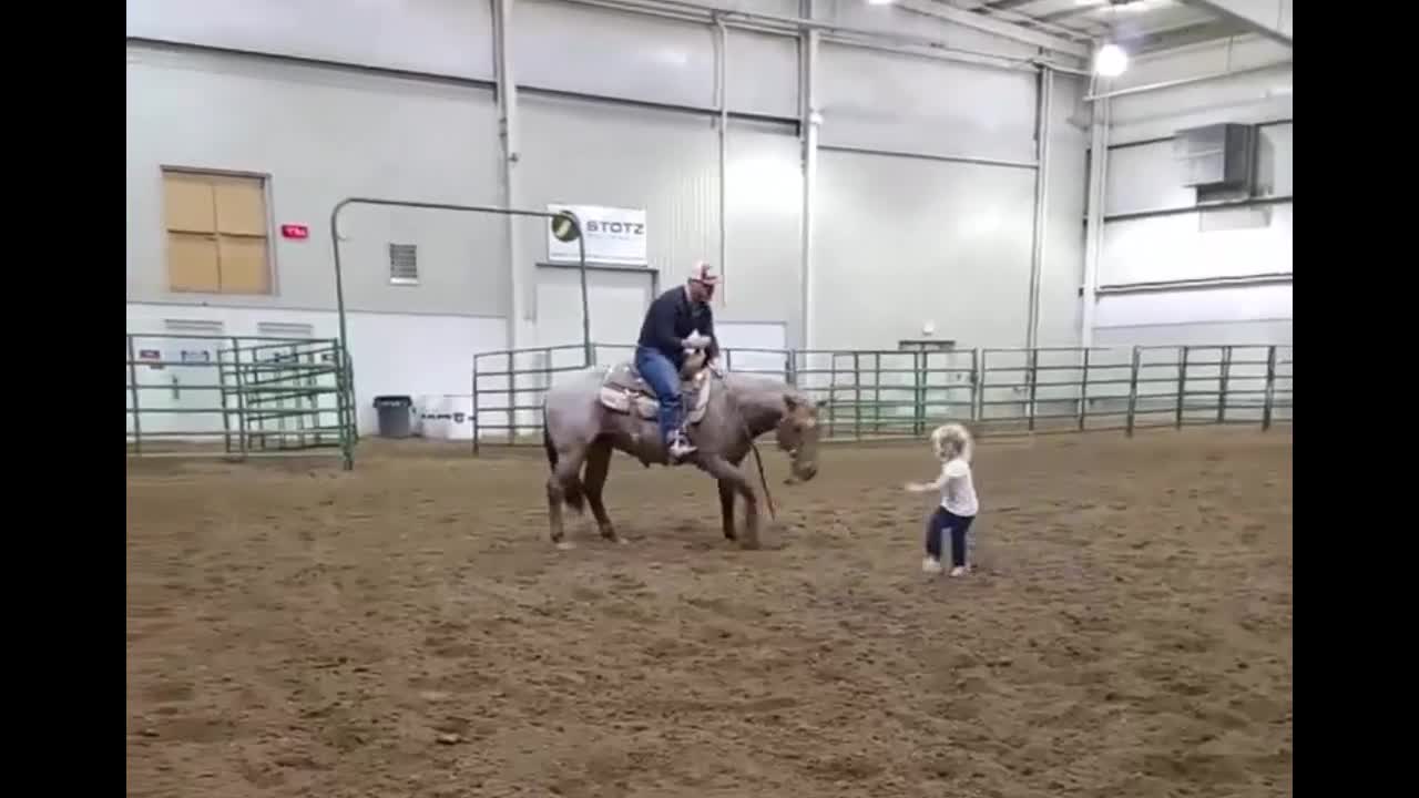 Horse Incredibly Plays With Little Girl Best Friend