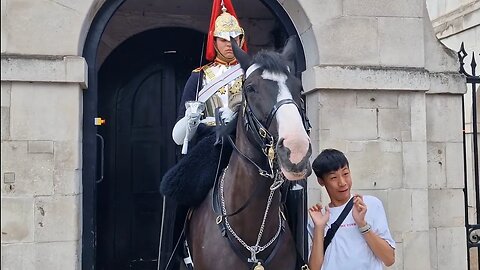 Tourist pulling silly faces horse makes him jump #horseguardsparade