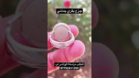جزع بقري يماني