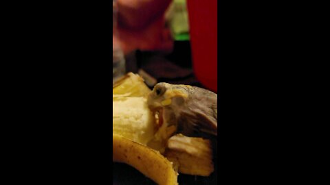 Pretty girl vs banana