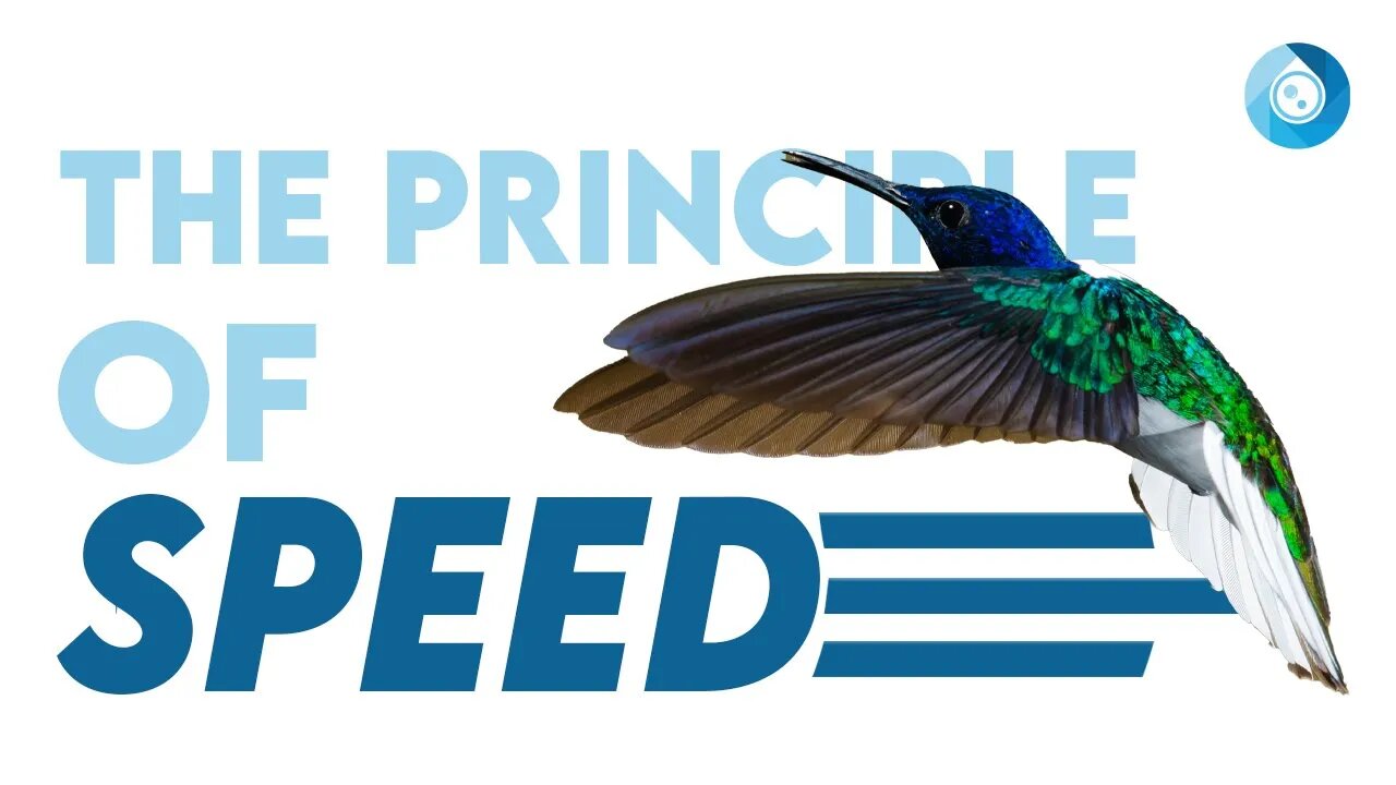 Principle of Speed to 10x Your Business