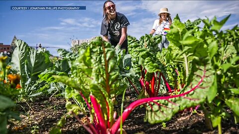 Civic Center Sparkles needs volunteers