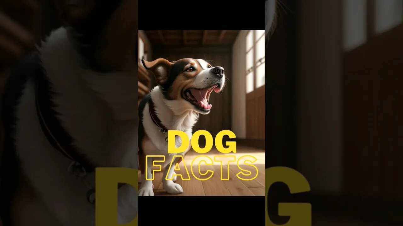 Dog Facts - I Bet You Don't Know 🐶😜😉 #dogs #doglovers #dogfacts #dogsofinstagram #dogshorts #shorts