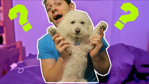 EVERYTHING YOU NEED TO KNOW ABOUT QUINCY!