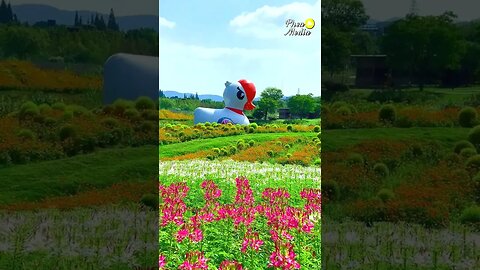 #nature Refreshing views of flowers 😍 #viralvideo Episode69