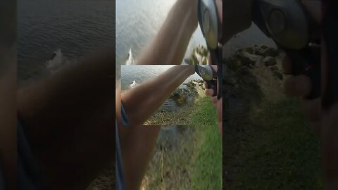 hand fishing for catfish