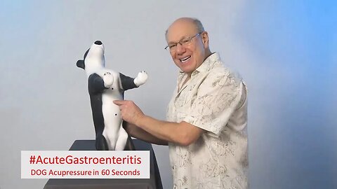 Healing: Acupressure Remedy for Acute Gastroenteritis in Dogs