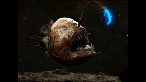 Ocean Monsters - Documentary