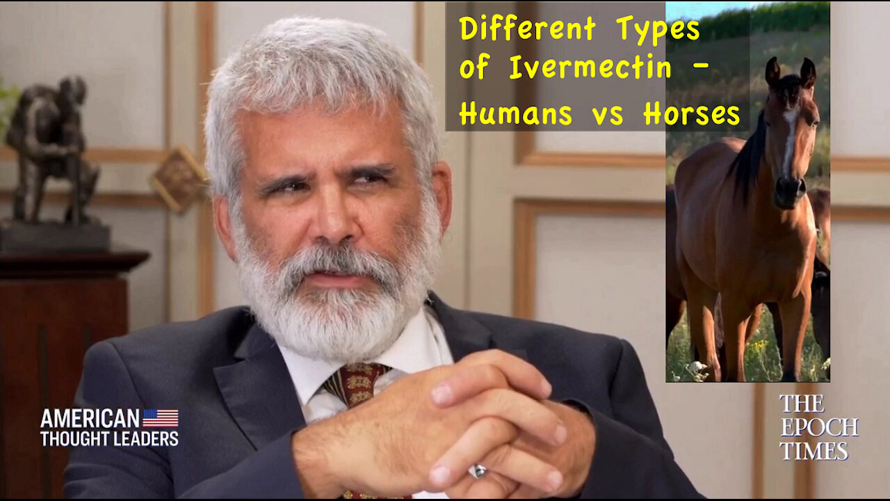 Different Types of Ivermectin – Humans vs Horses