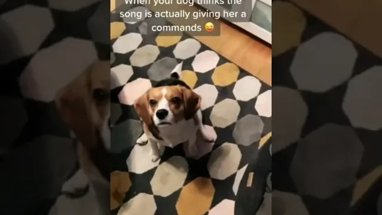 turn around