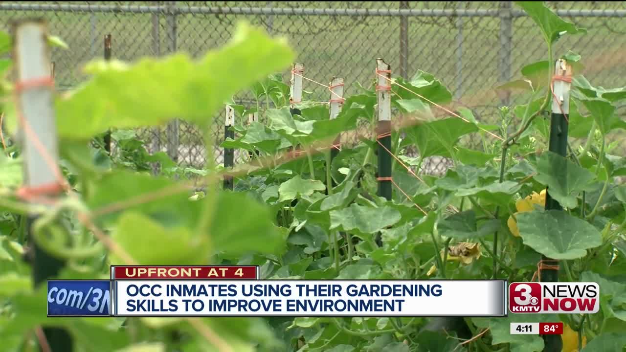 Monarch habitat at Omaha Correctional Center