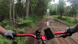 Pedaling through the Muddy 2 Tracks ( Fatback Rhino )