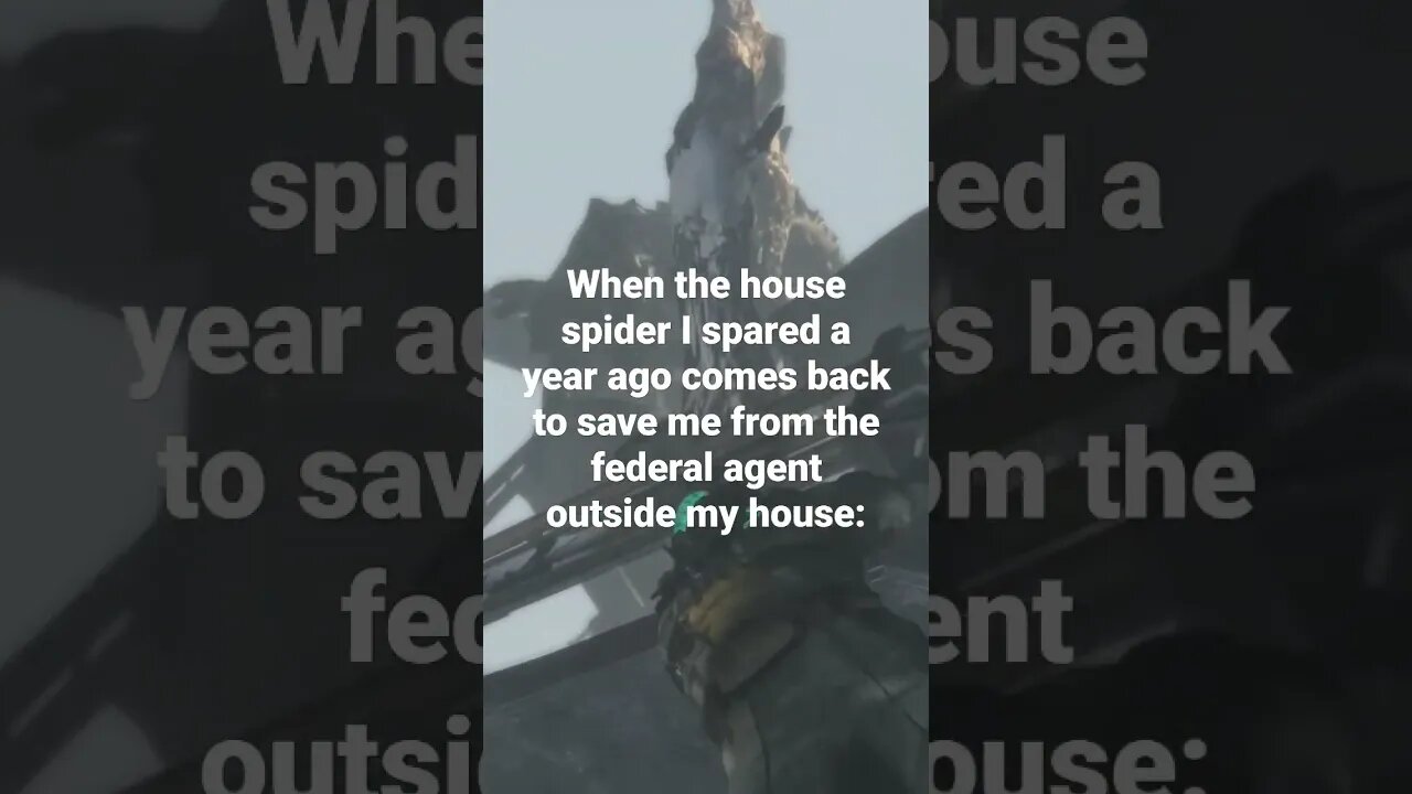 He's a real one 🕷 #memes #memesdaily #videogames