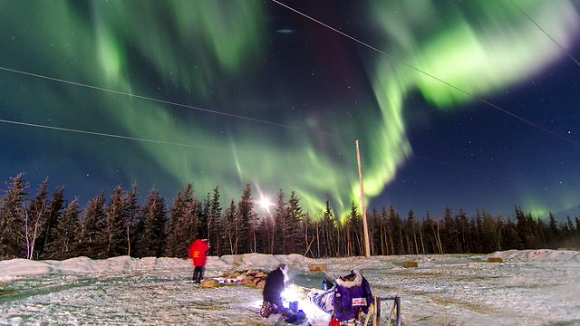 Sled Dog Team Rests Under Explosion of Northern Lights