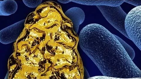 Bacteria Spins Gold Out Of Toxic Metals!