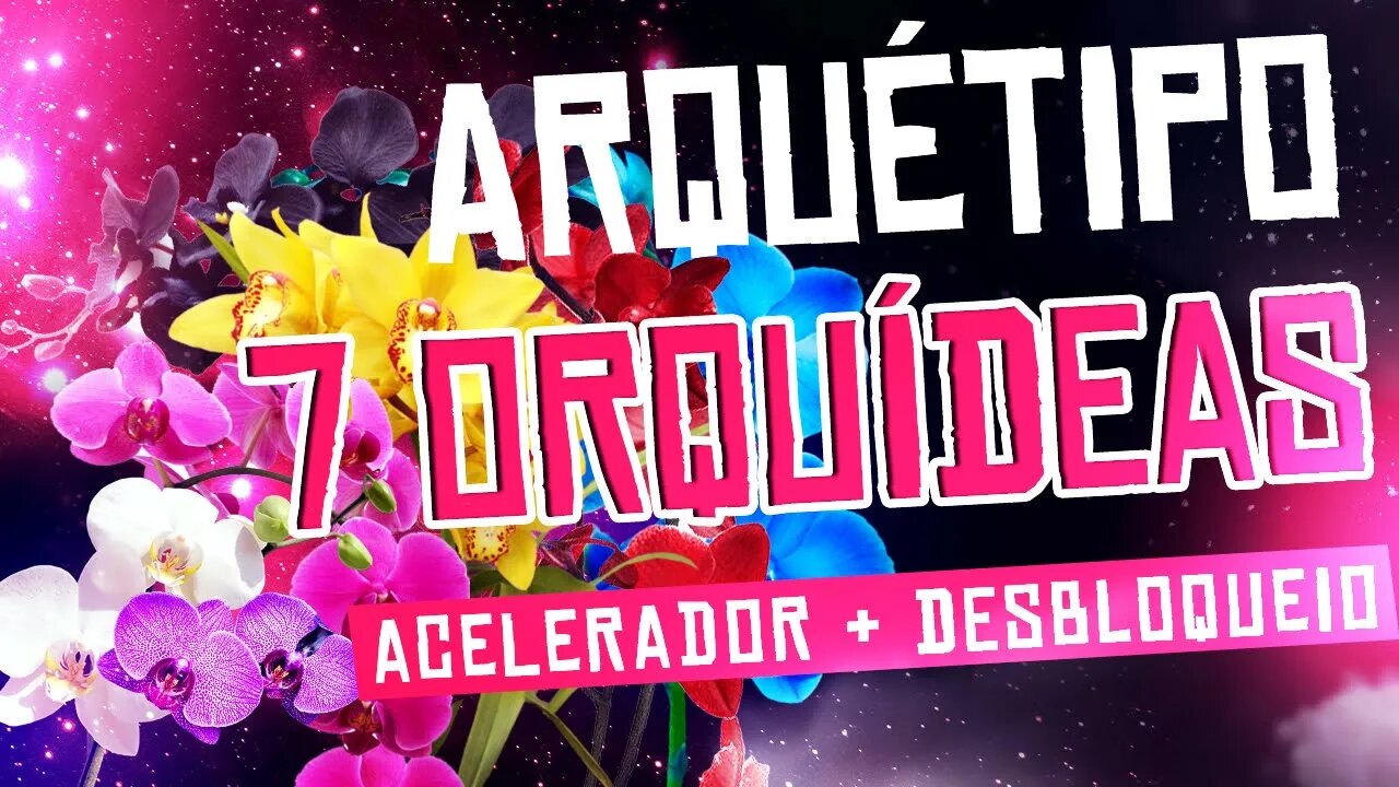 Combo as 7 Orquídeas - Poder e Sedução Subliminal ~ Valkinesis