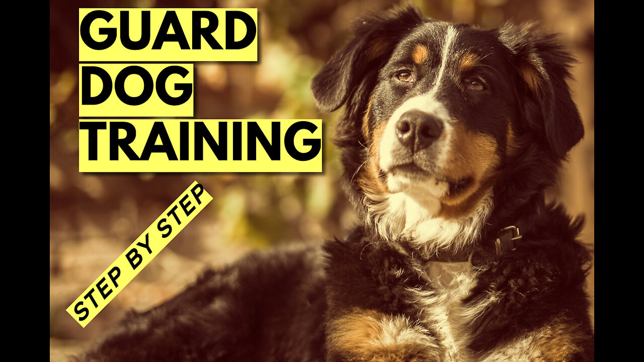 Step By Step Training | Guard Dog Training