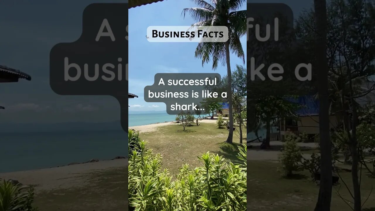 Business Facts shark