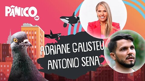 ADRIANE GALISTEU E ANTONIO SENA - PÂNICO - 27/05/21