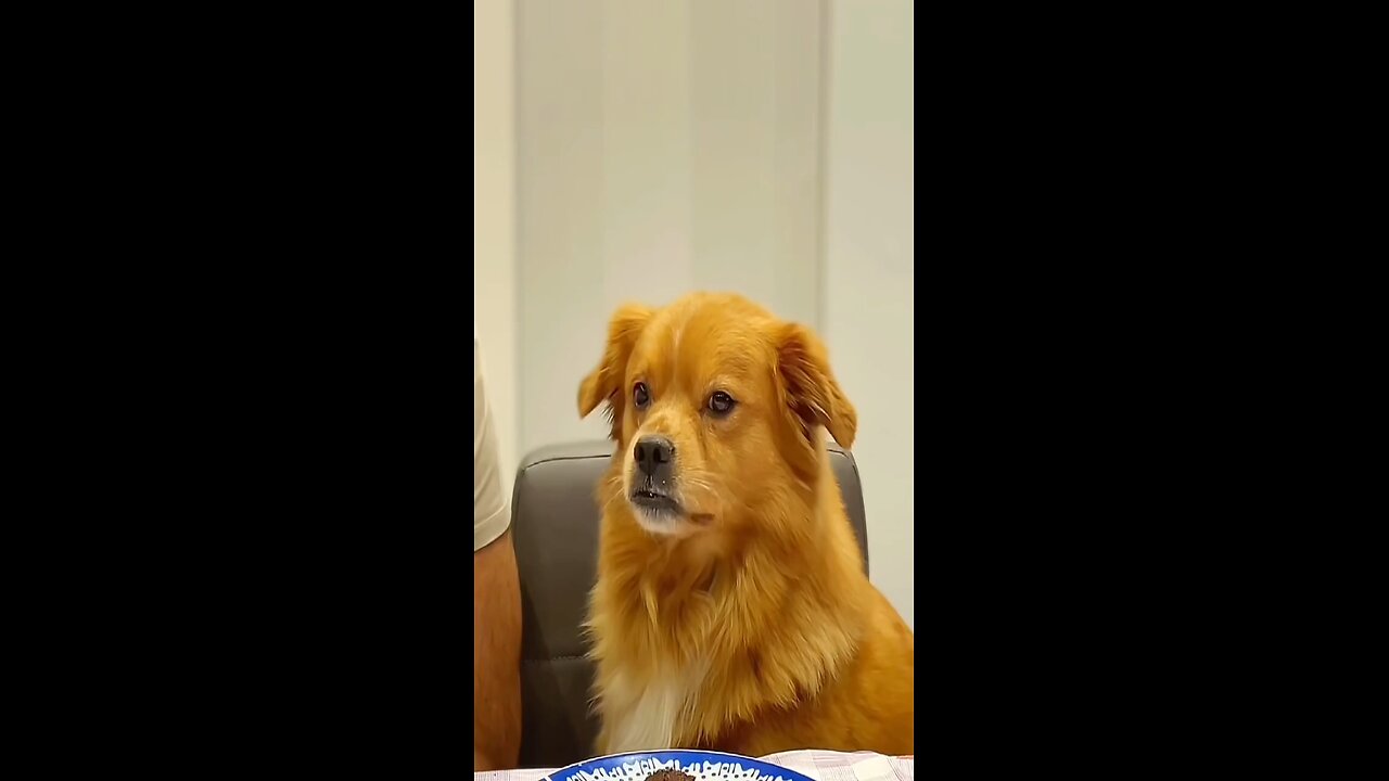 the biggest auto master Karma