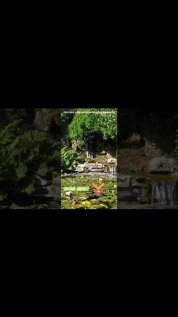 🍃 Renueva tu Espíritu: Música de Meditación para Limpiar y Renovar 💆‍♂️🌿