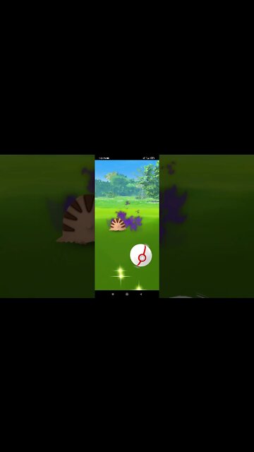Pokémon GO-Shadow Swinub