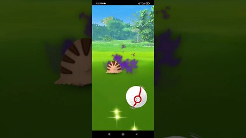 Pokémon GO-Shadow Swinub