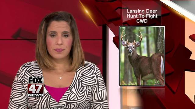 Deer to be hunted, tested for disease in Lansing