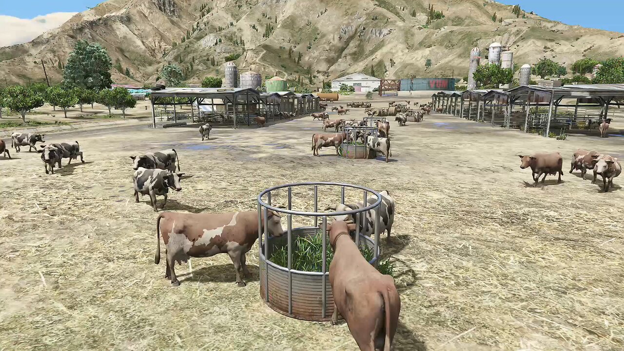 GTA 5 Animal Animation