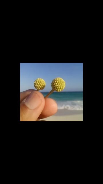 What're Those Weird Beautiful Things Rotating #AeroArduino #Nature #ASMR