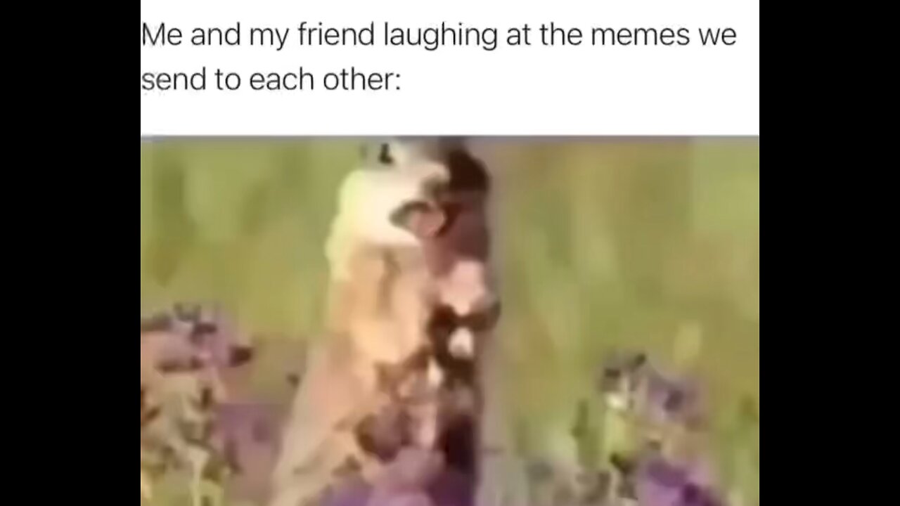 Top G Comedy