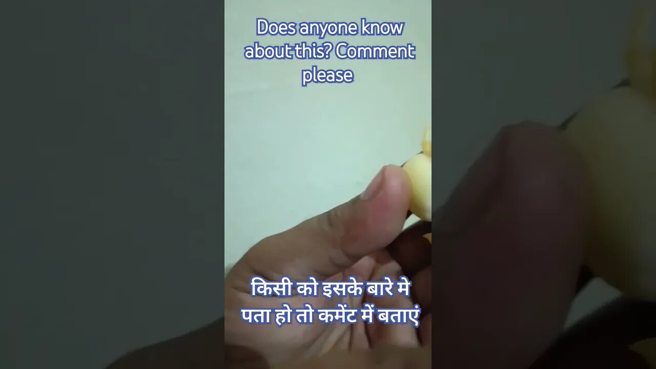 Amazing thing a #creature of #god #subscribe #iphone #share #motivation #like #apple