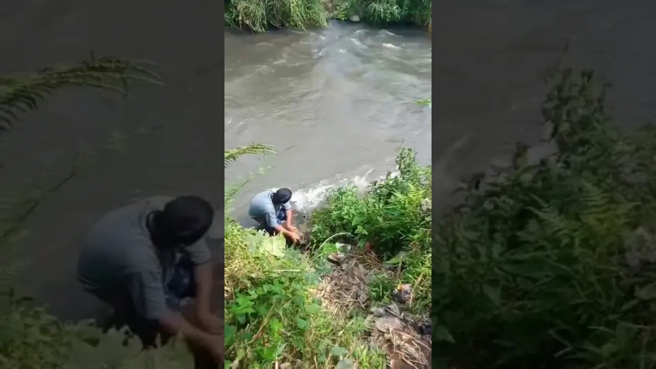 ada penampakan