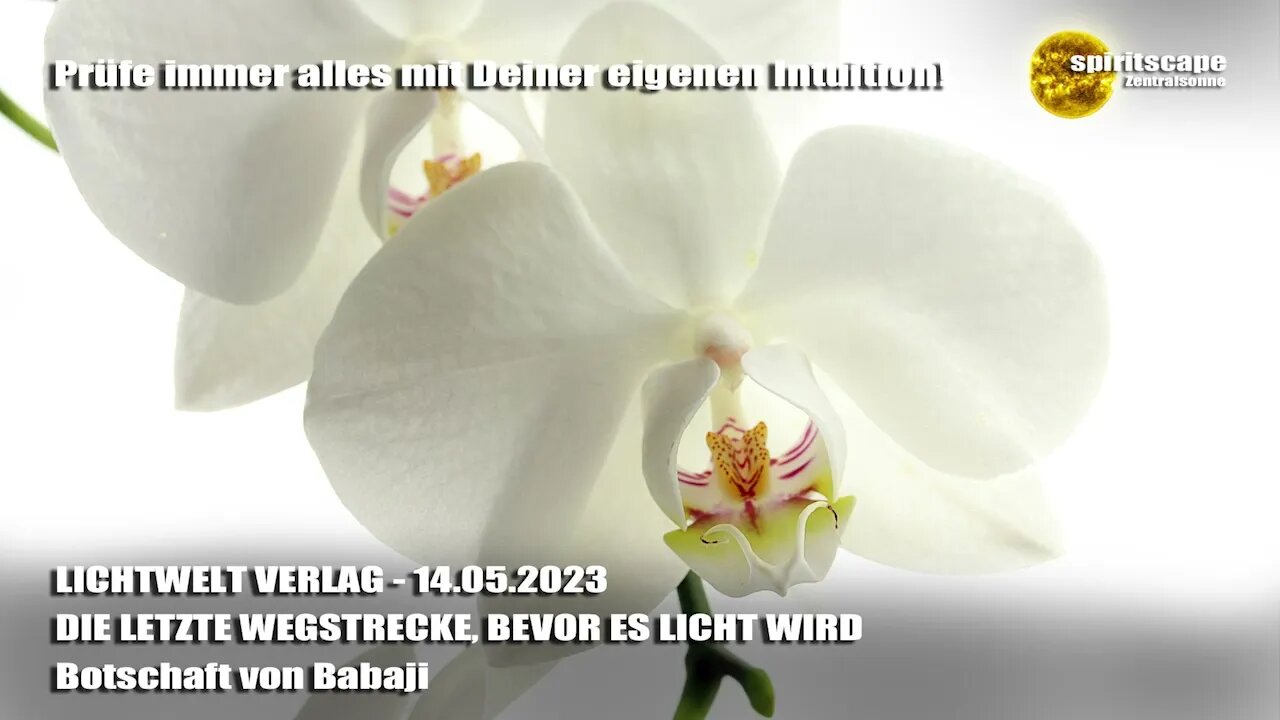 DIE LETZTE WEGSTRECKE, BEVOR ES LICHT WIRD - Botschaft von Babaji ~ LWV