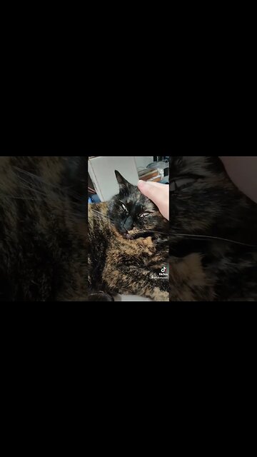 Just a Dollop of Daisy