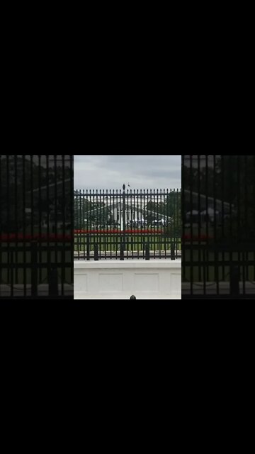 9/22/22 Nancy Drew in DC-END GAME- T R U M P COMING HOME- #nancydrew #shorts