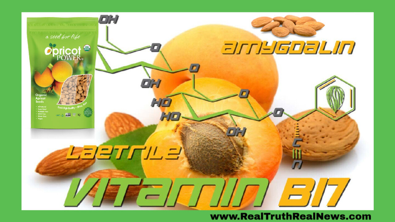 Vitamin B17/Apricot Seeds: God's Powerful Cancer Fighter That Big Pharma ...