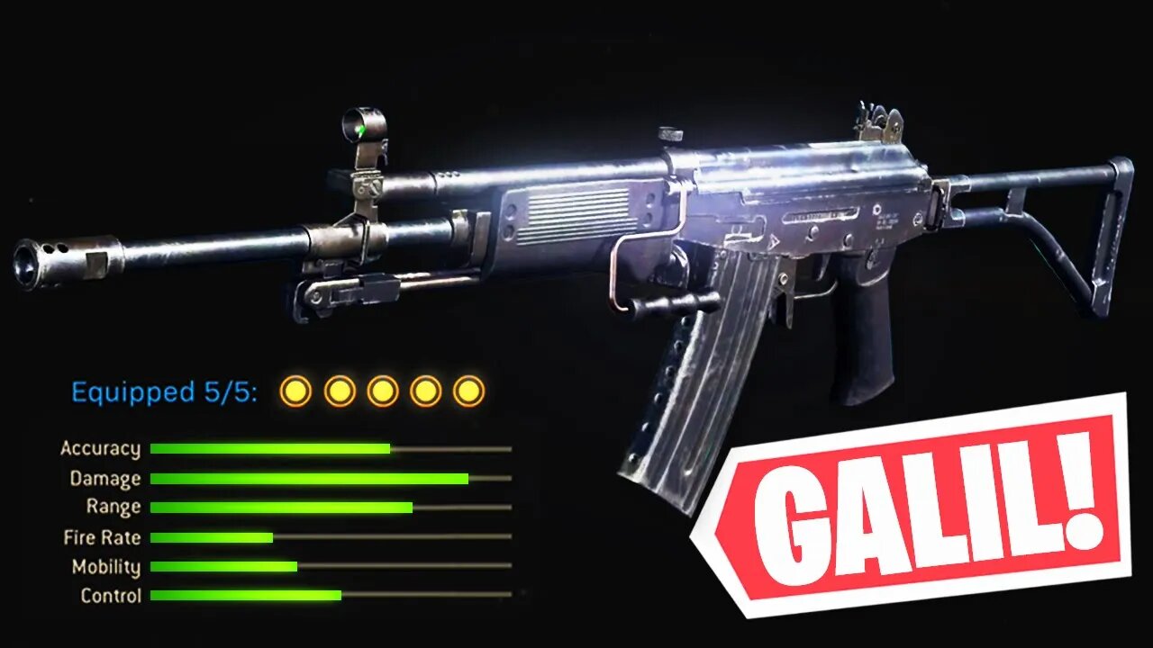 New Warzone Leaked Weapons! Galil, Vector & More (Modern Warfare Warzone)