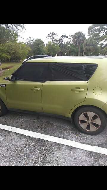 Stealth camping in Florida with Bart Fine